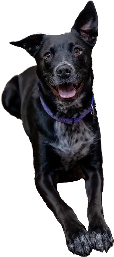 Aspen, Empowering Futures Chief Morale Officer